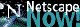 Download Netscape Communicator